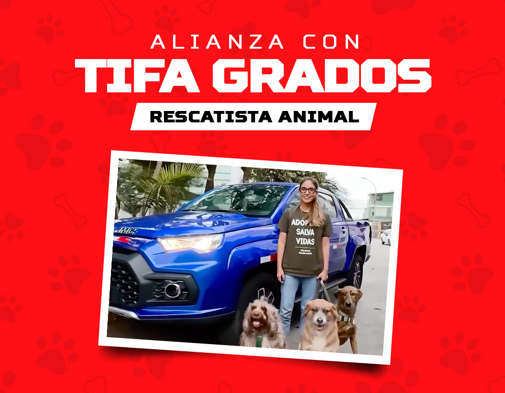 Todo sobre el sistema de frenos en camionetas